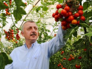 Büyükşehirden Çiftçiye 86 Milyonluk Mazot Ve Tohum Desteği