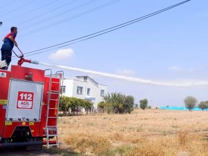 Mahalle Arasında Çıkan Anız Yangını Söndürüldü