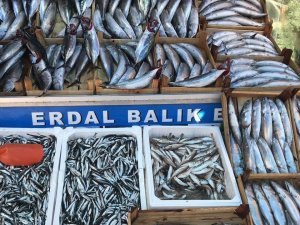 Akçakoca’da Sezonun İlk Hamsisi Tezgahtaki Yerini Aldı