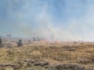 Giresun’da Örtü Yangını, Ormana Sıçramadan Kontrol Altına Alındı