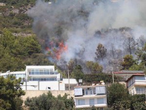Alanya’da Orman Yangını