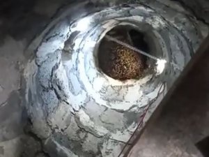 Bingöl’de Arılar, Cami Minaresine Yuva Yaptı