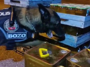 Arı Kovanı İçerisinden 2 Kilo 500 Gram Metamfetamin Çıktı