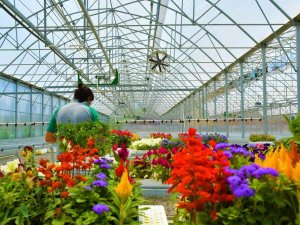 Atıkların Çiçeği Dönüştüğü Projeye Ödül