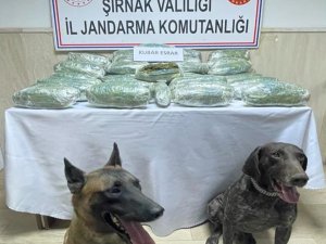 28 Kilo 542 Gram Kubar Esrar ’Yüzey’ Ve ’Siklet’in Burnundan Kaçmadı