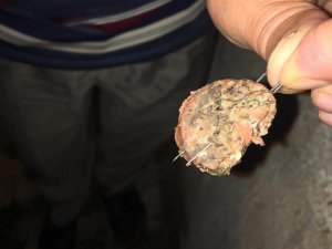 İ̇ğneleri Sucuklara Saplayıp Köpeklere Yedirmeye Çalıştılar