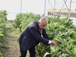 Bakan Kirişci: “Yılın İlk 8 Ayında Tarım Ürünleri İhracatımız 21,5 Milyar Dolar”