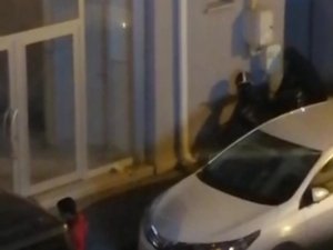 Acemi Hırsızlar Kameraya Yakalandı