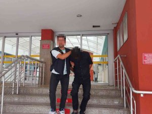 Kocaeli’de 6 Kaçak Göçmen Yakalandı