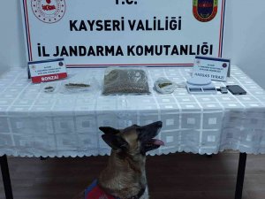 Jandarmadan Uyuşturucu Operasyonu