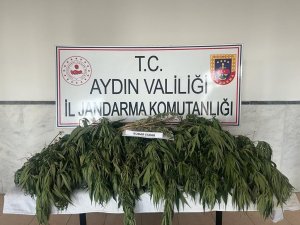 Aydın’da Uyuşturucu İle Mücadelede Bir Haftada 7 Kişi Tutuklandı
