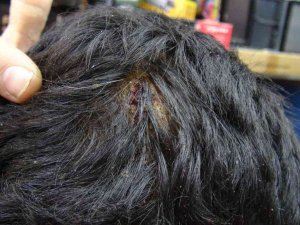 50 Liralık Kumanda İçin Dükkan Basıp, Tamirciyi Dövdüler