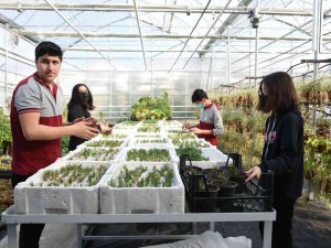 Yalova’da Öğrencilerin Ürettiği Çiçekler E-ticaret Sitesinden Satılacak