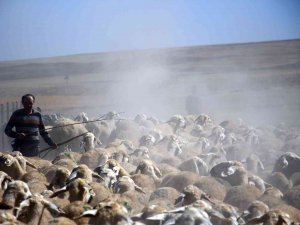 Suya Ulaşmak İçin 15 Kilometrelik Tozlu Yolculuk