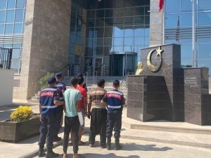 Bahçeden Avokado Çalarken Yakalanan 2 Şüpheli Tutuklandı