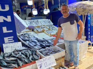 Sinop’ta Az Miktarda Avlanan Hamsinin Kilosu 50 Tl