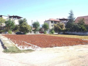 Sarıgöl’de Üzüm Sergi Alanları Şehre Taştı