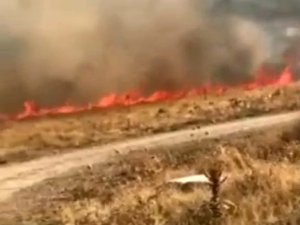 Elazığ’da Korkutan Yangın: 10 Dönüm Alan Zarar Gördü