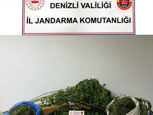 Jandarma Tacirden Kilolarca Esrar Ele Geçirdi