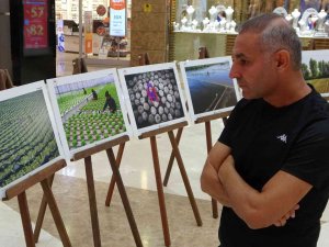 Osmaniye’de "Tarım, Orman Ve İ̇nsan" Konulu Fotoğraf Sergisi