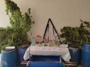 Hatay’da 880 Litre Sahte İçki Ele Geçirildi