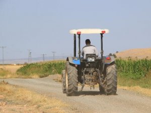 Köyden Çıkmadan İ̇stanbul Ve Erzincan’da Trafik Cezaları Yemişti, Gerçek Ortaya Çıktı