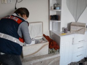 Şırnak’ta Pkk/kck Operasyonu: 14 Gözaltı