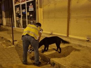Sokak Hayvanlarına Polis Şefkati
