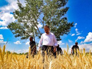 Tmo Alımları Bilecik’te Rekor Kırdı