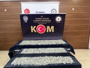 İ̇stanbul’da Durdurulan Otomobilden 34 Bin 550 Adet Sikke Ele Geçirildi