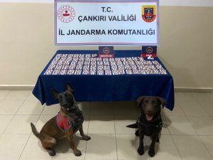 Çankırı’da Bin 14 Adet Sentetik Hap Ele Geçirildi: 1 Tutuklama