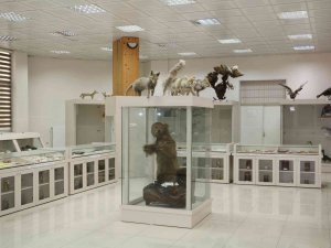 Pandemi Sonrası Dicle Üniversitesi’nde Zooloji Müzesi Ziyaretçilerini Bekliyor