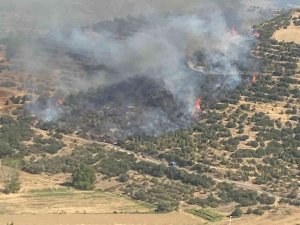 Kiraz İlçesindeki Orman Yangınına 10 Dakikada İlk Müdahale
