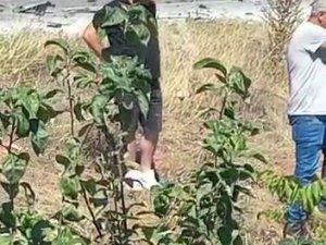 Hafif Ticari Araçla Çarpışan Otomobil Şarampole Yuvarlandı: 1 Ölü, 2 Yaralı