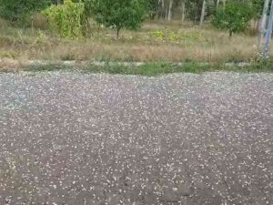 Sivas’ta Dolu Yağışı Etkili Oldu