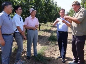 Yalova’ya Gelen Güney Kore Heyetinden Araştırma Enstitüsünde İnceleme