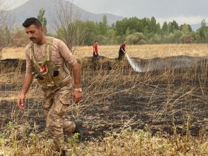 Anız Yangını Çevreye Sirayet Etmeden Söndürüldü