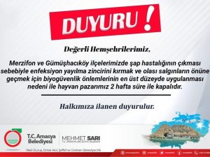 Amasya’da Hayvan Pazarı Şap Hastalığı Nedeniyle 2 Haftalığına Kapatıldı