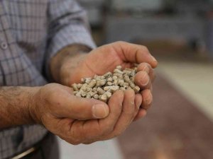 "Orman Ürünleri Ziyan Olmasın" Diye Pelet Fabrikası Kurdu