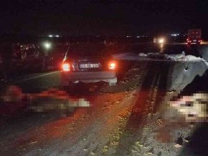 Otomobilin Çarptığı Sürüde 20 Koyun Telef Oldu
