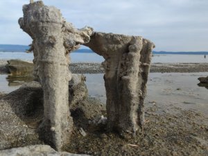 Van Gölü’nün Doğa Harikası Mikrobiyalitleri Tamamen Ortaya Çıktı