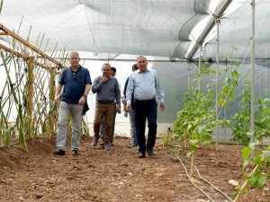 Tıbbi Aromatik Bitki Üretim Tesisi Açıldı