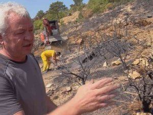 Prof. Dr. Yıldız Dikkat Çekti: “Yanan Ormanlardaki En Büyük Tehlike Besin Kaybı”