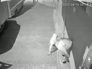 Arnavutköy’de İş Yeri Hırsızlığı Kamerada