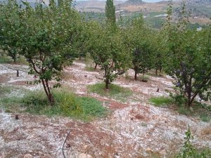 Mersin’de Yüksek Kesimlerde Dolu Etkili Oldu