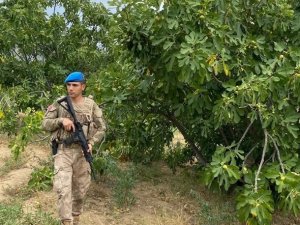 Jandarma İncir Nöbetinde