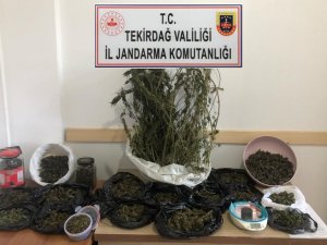 Tekirdağ’ın 5 İlçesinde Uyuşturucu Operasyonu