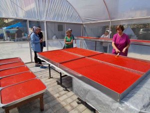 Nazilli’nin Kadın Girişimcileri Türkiye’ye Örnek Oluyor