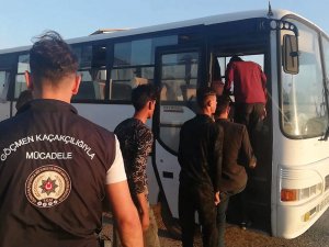 Osmaniye’de 6 Düzensiz Göçmen Yakalandı