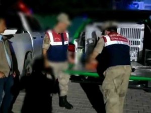 Hatay’da Böcek Toplayan Kişiye 109 Bin Lira Para Cezası